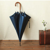 Long Umbrella Model: L