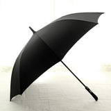 Long Umbrella Model: H