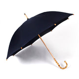 Long Umbrella Model: K