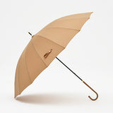Long Umbrella Model: I