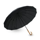 Long Umbrella Model: F