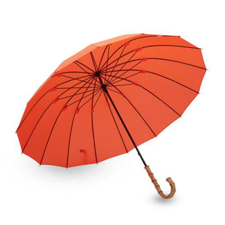 Long Umbrella Model: F