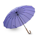 Long Umbrella Model: F