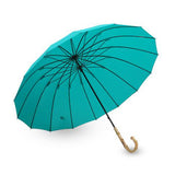Long Umbrella Model: F