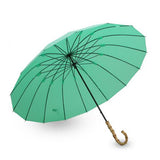 Long Umbrella Model: F