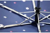 Umbrellas Automatic Model: C