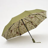 Long Umbrella Model: A